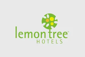 Lemon Tree Lemon Tree